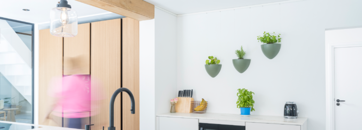 EN herbs in a hanging flowerpot on the kitchen wall